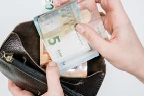 Türkiye'de at, eşek, katır sayısında büyük düşüş